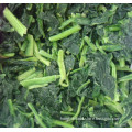 Wholesale frozen spinach cut